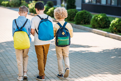 Co z tą edukacją? Alivia apeluje do MEN