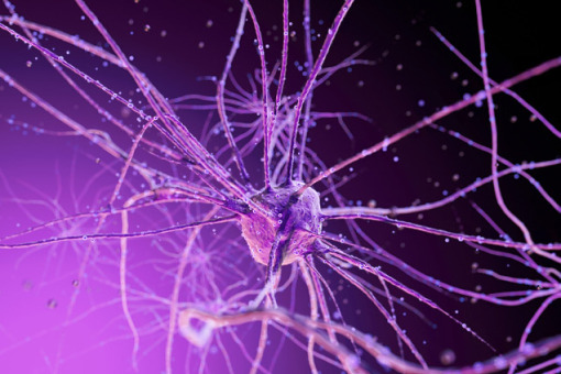 Nie są nam potrzebni w systemie neuropatolodzy?