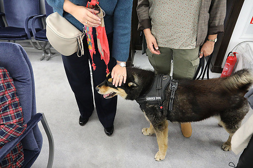 Kontakt ze zwierzęciem jako część terapii 